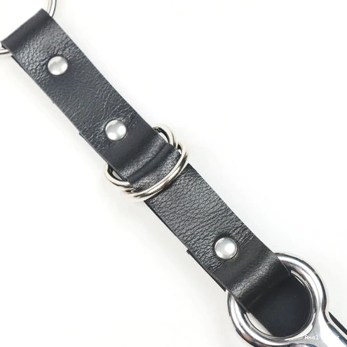 Anal Hooks Collar and with Hook Anal Leash 5853 EverydayUse Kinky 1001